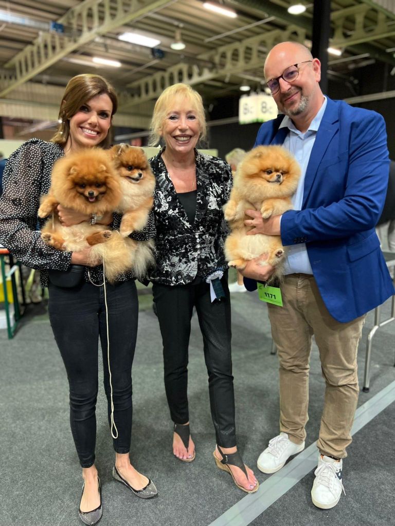 diverses expositions canines